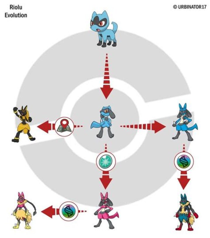 What Level Does Riolu Evolve