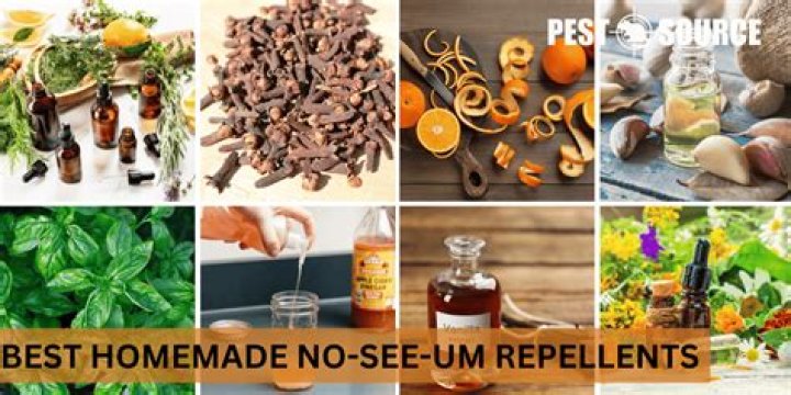 What Oils Repel No See Ums