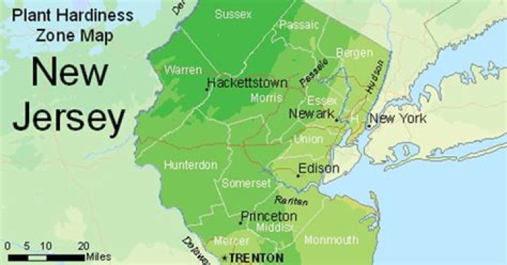 What Planting Zone Is Nj