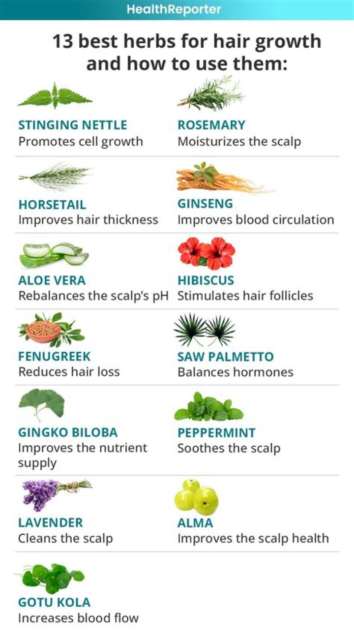 What promotes hair growth - How To Discuss