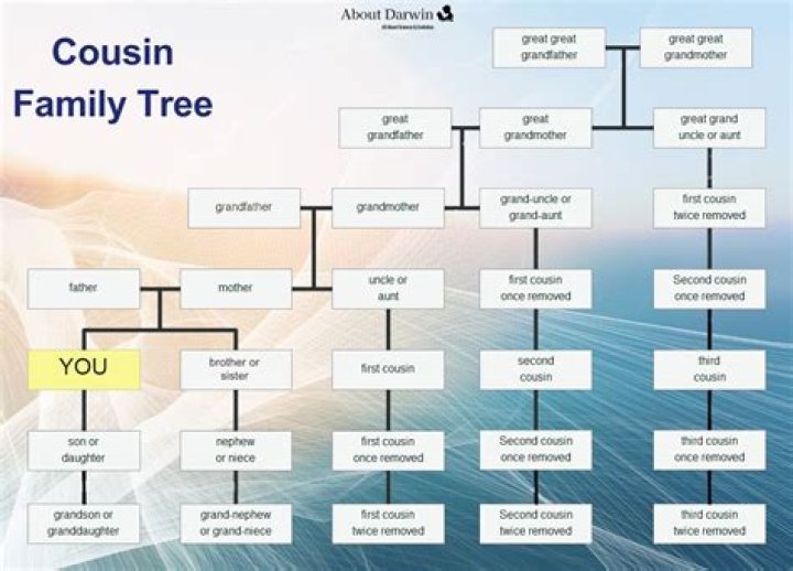 Whats A 4th Cousin - How To Discuss