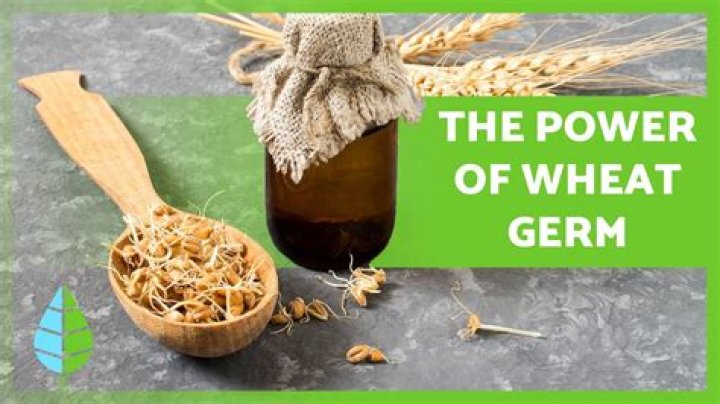 Wheat germ - How To Discuss