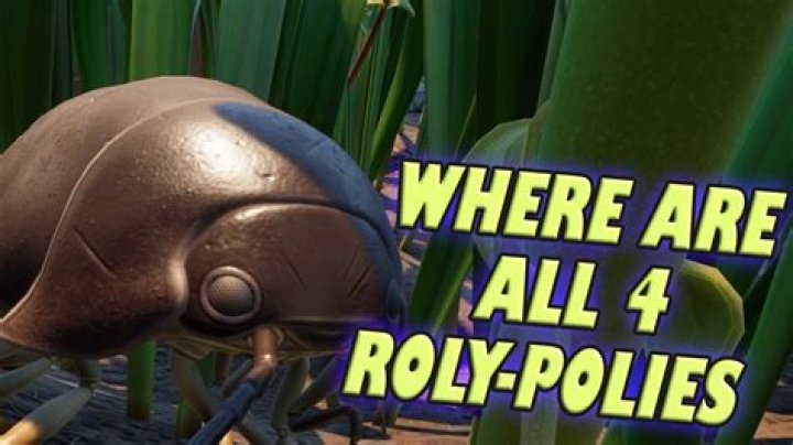 Where To Find Rolly Pollies