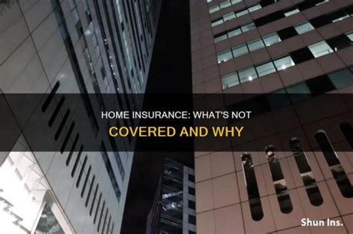 Which Area Is Not Protected by Most Homeowners Insurance?