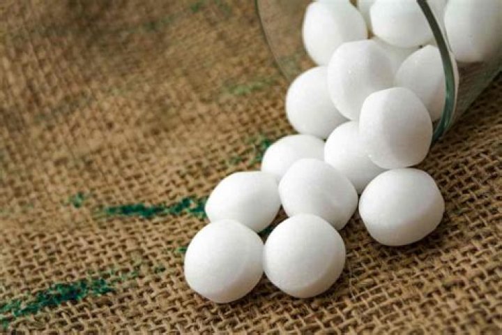 Will mothballs keep squirrels away