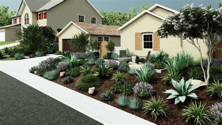 Yard design - How To Discuss